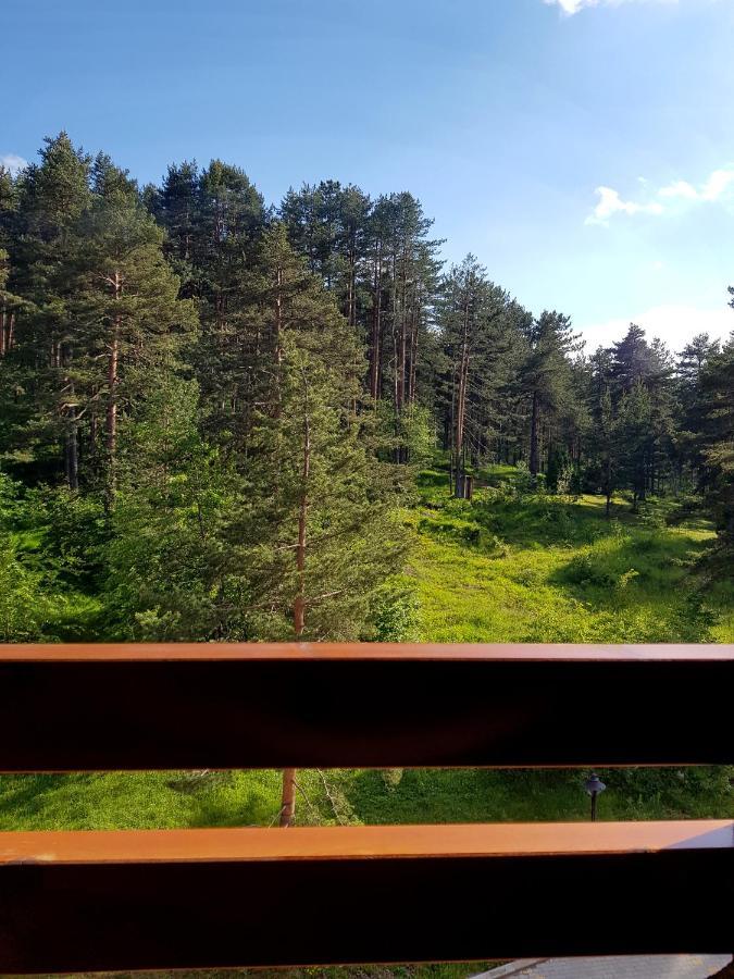 Zlatibor Holiday, Vila Leonardo VI Exterior foto